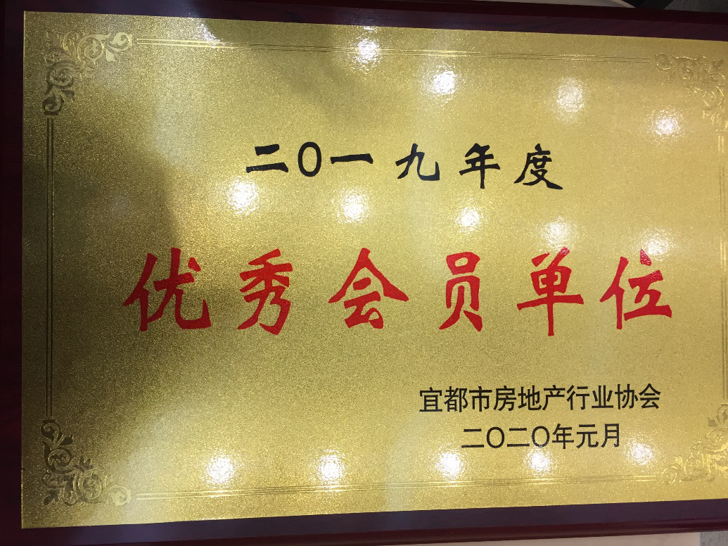 49图库49218